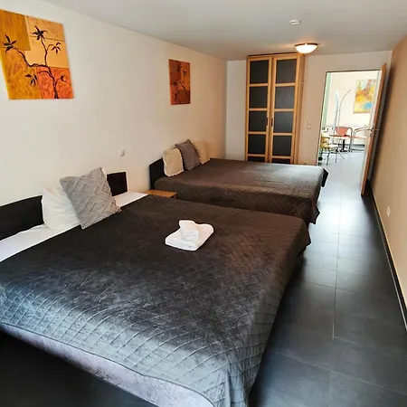 Σπίτι διακοπών Bacchus Homes Bacharach